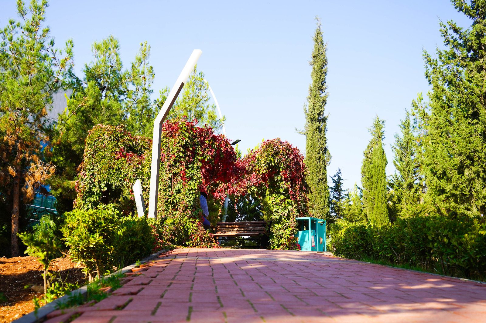 Kampüs yeşil alanı